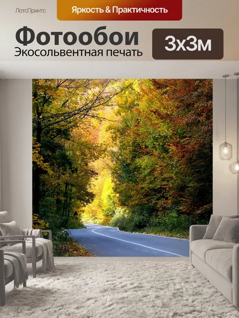 Фотообои Дорога
