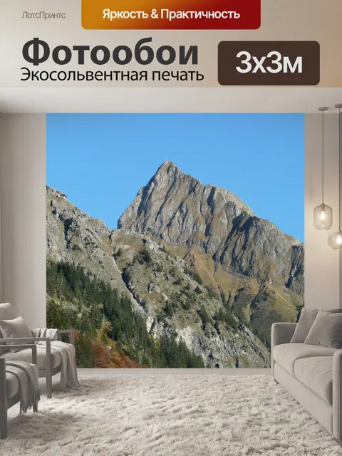 Фотообои Учтивость