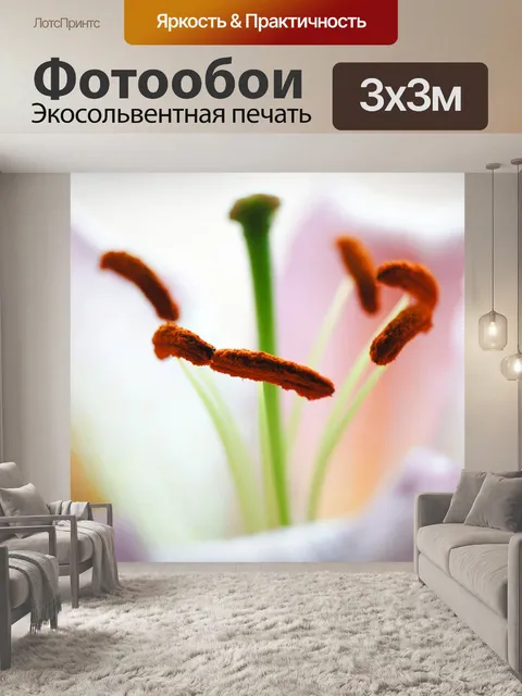 Фотообои Цветок