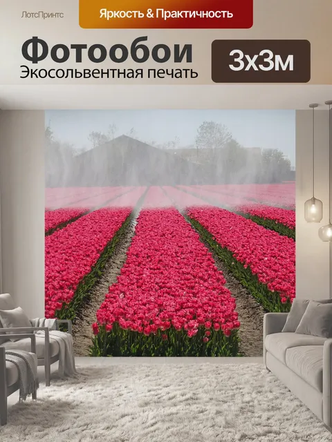 Фотообои Тюльпаны