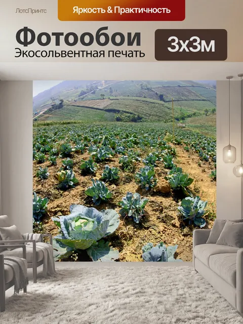 Фотообои Красивые горные пейзажи в Phutabberk