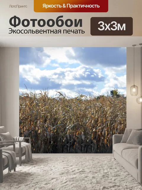Фотообои Нива и облачное небо