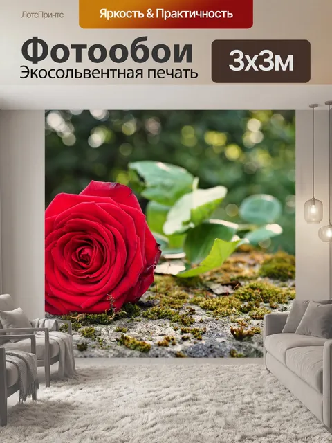 Фотообои Роза