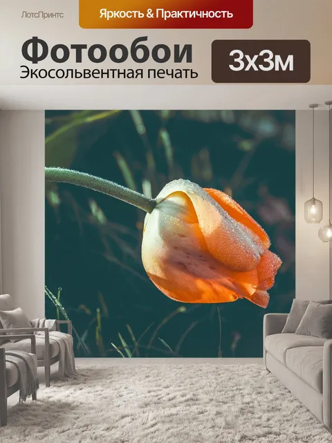 Фотообои Тюльпан