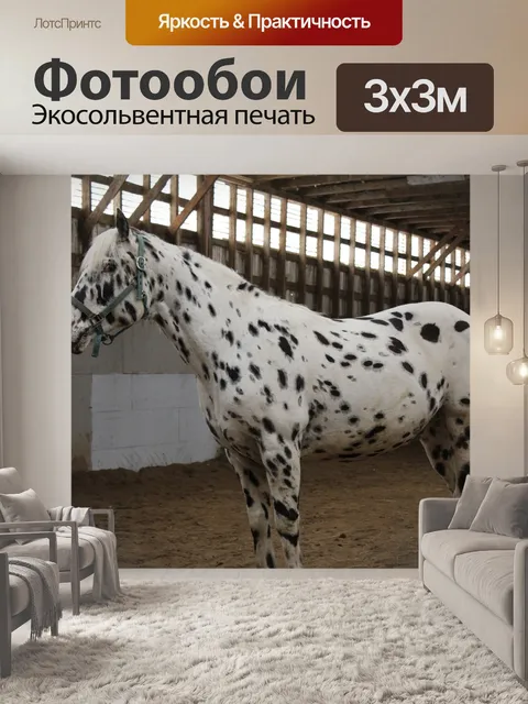 Фотообои Лошади