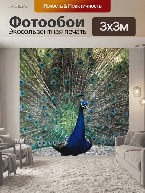 Фотообои Павлин