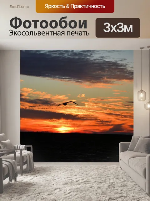 Фотообои Чайка
