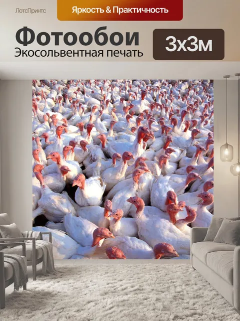 Фотообои Индейки