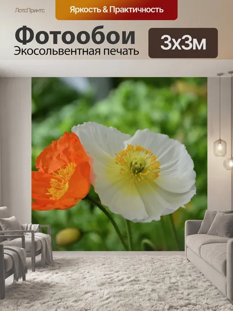Фотообои Цветы мака