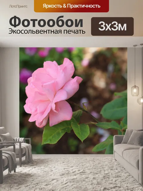 Фотообои Бледно розовый