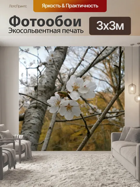 Фотообои Вишневое дерево