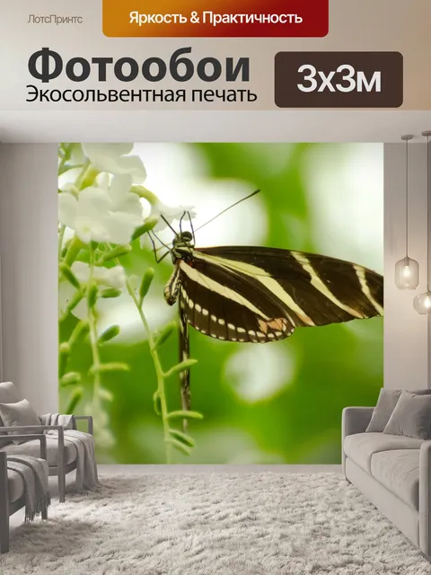 Фотообои бабочка