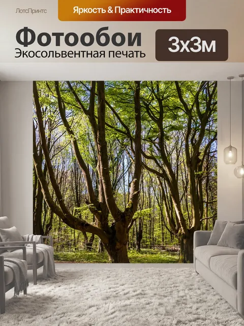 Фотообои Дерево