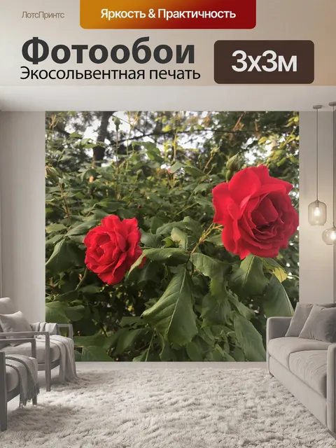 Фотообои Цветы