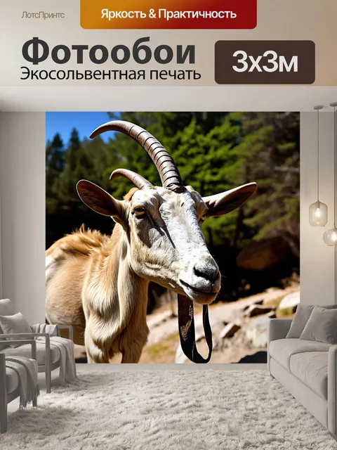 Фотообои въедливая крупная планировка рогов козерога, покрытых корой, увлеченных увлечением природы