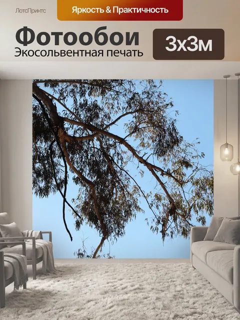 Фотообои ветви эвкалиптового дерева