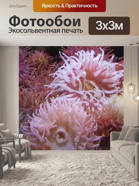 Фотообои Розовые анемоны