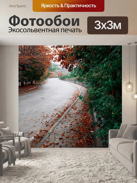 Фотообои Дорога