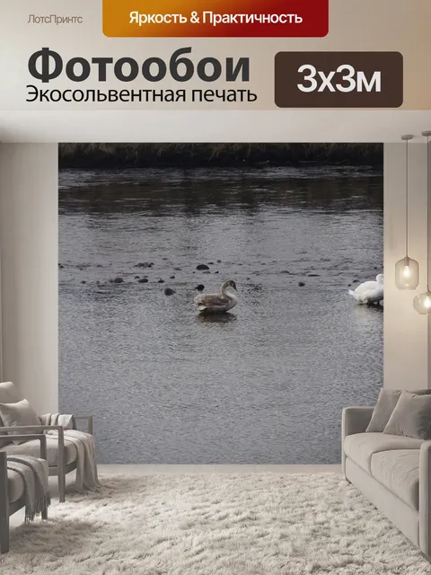 Фотообои Лебеди