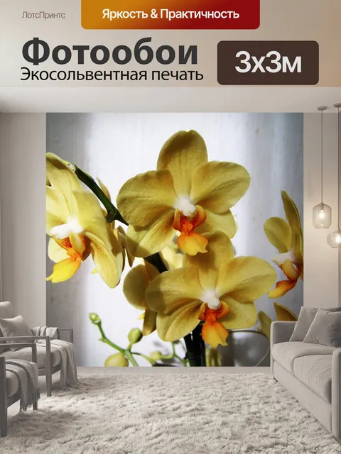 Фотообои Орхидея