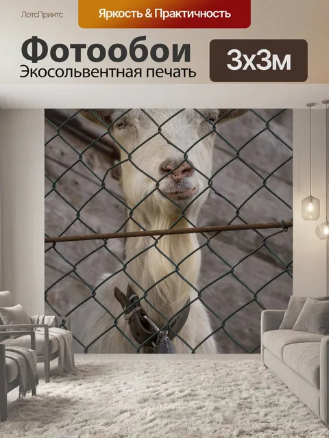 Фотообои Забор