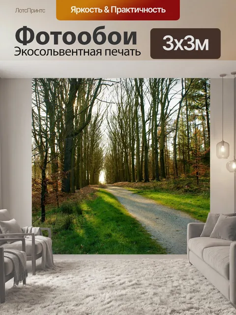 Фотообои Проспект