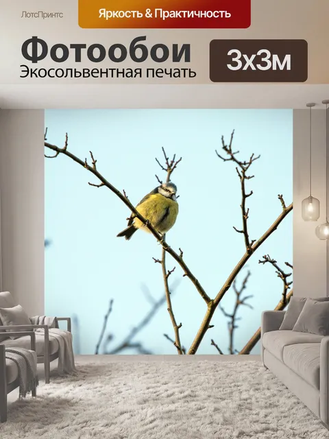 Фотообои Великая Тит