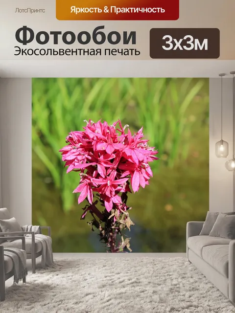 Фотообои Цветы
