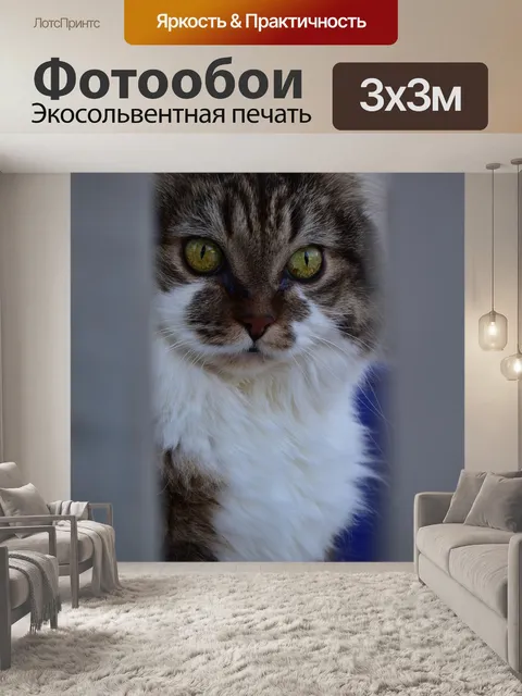 Фотообои Кошки