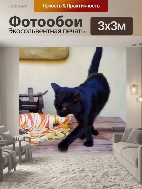 Фотообои черная кошка