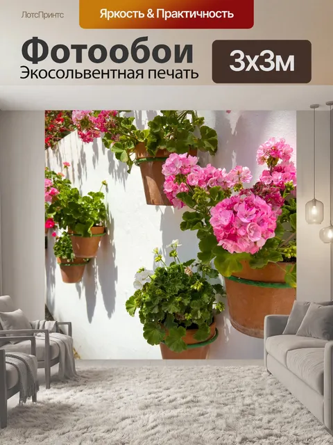Фотообои Цветочные горшки висят на стене