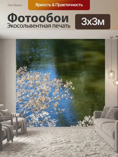 Фотообои Сухие сорняки над водой
