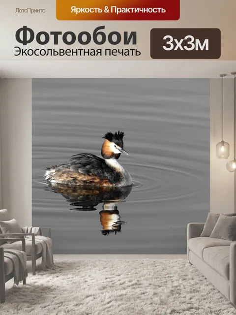 Фотообои Птицы