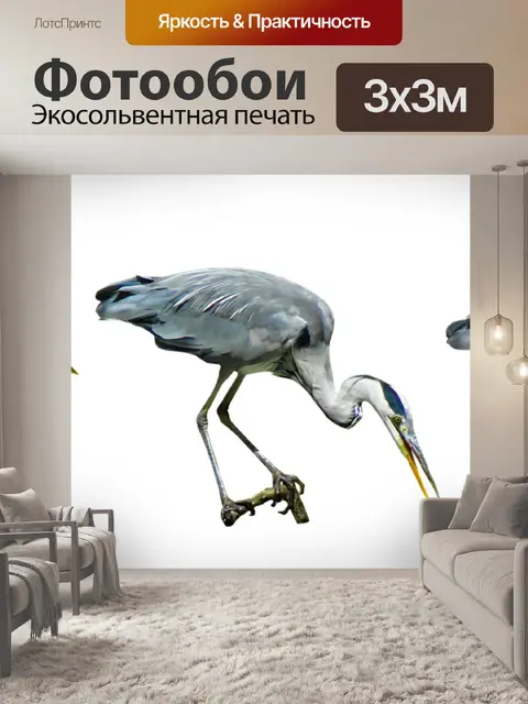 Фотообои Природа
