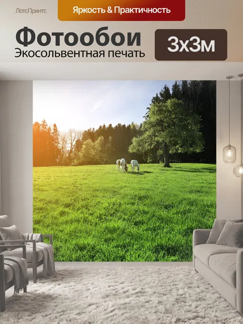 Фотообои Лошади