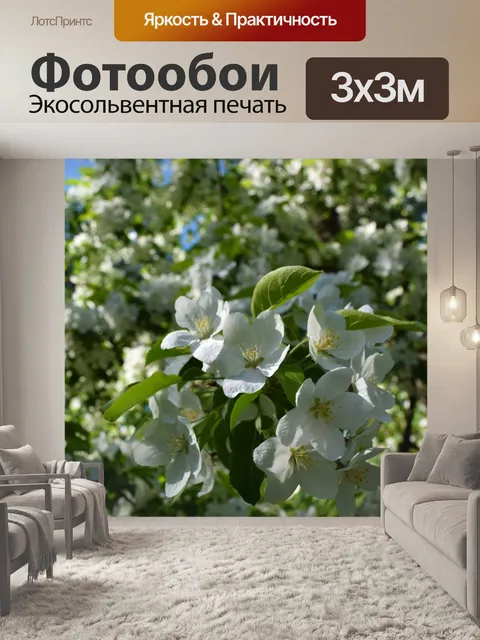 Фотообои Цветы