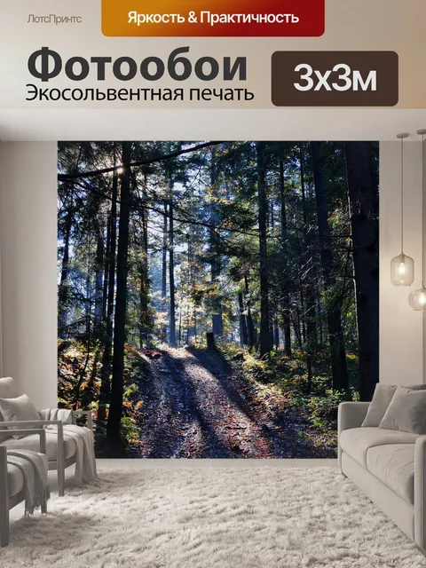 Фотообои Лес