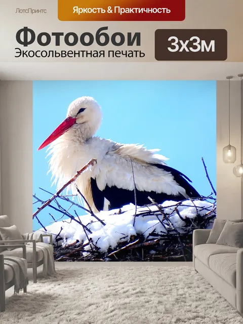 Фотообои Весна