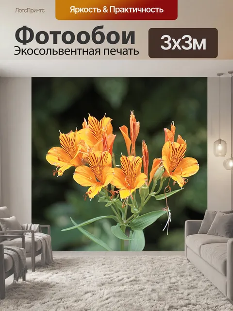 Фотообои Японский ирис