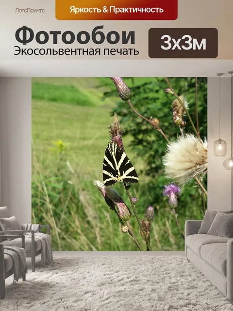 Фотообои Луг