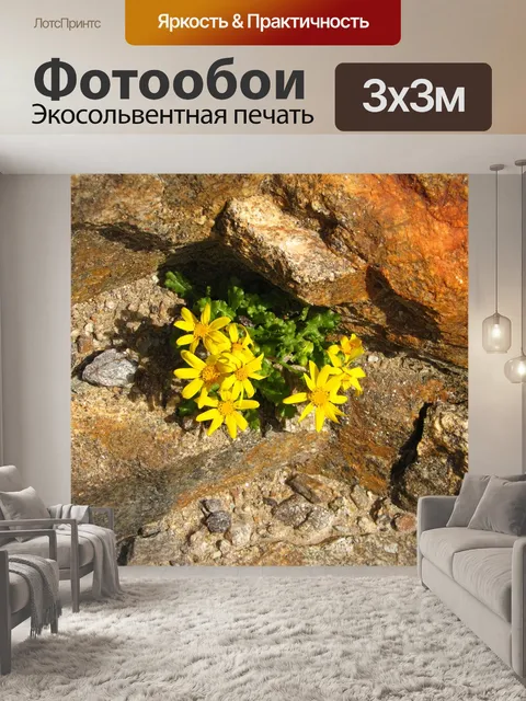 Фотообои Цветы