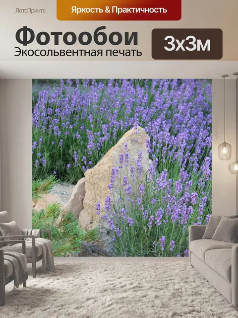 Фотообои Лаванда