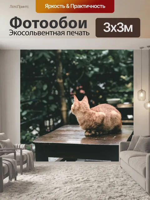 Фотообои Домашние питомцы