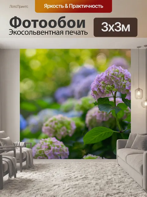 Фотообои Гортензии