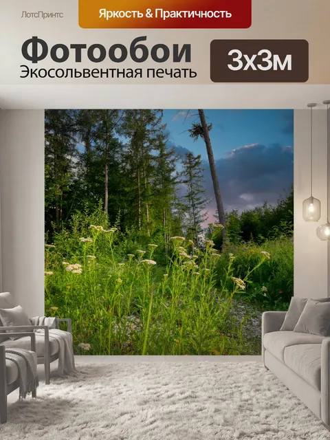 Фотообои Поле
