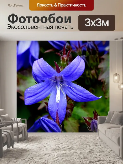 Фотообои Голубой сиреневый цветок