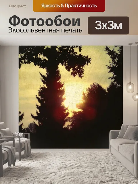 Фотообои Деревья