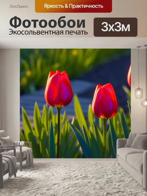 Фотообои тюльпаны и вечерний свет