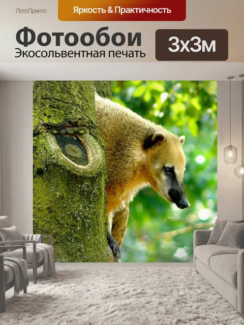 Фотообои Животное