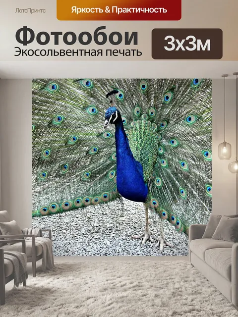 Фотообои Павлин